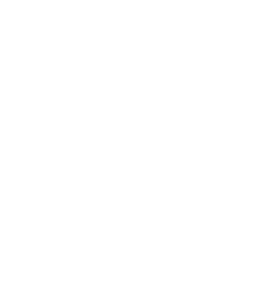 expert professional by Dio Design from Noun Project